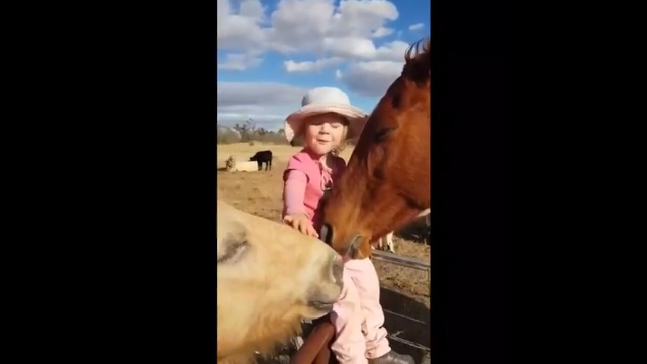 Somethimes You Just Need a HUG, so. . . . . Just Hold Me! 😻😥😻