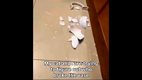 We re investigating something, anyone can help us here. Who found the culprit