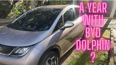 Um ano com BYD DOLPHIN o que será que tenho a dizer sobre esse carro ?