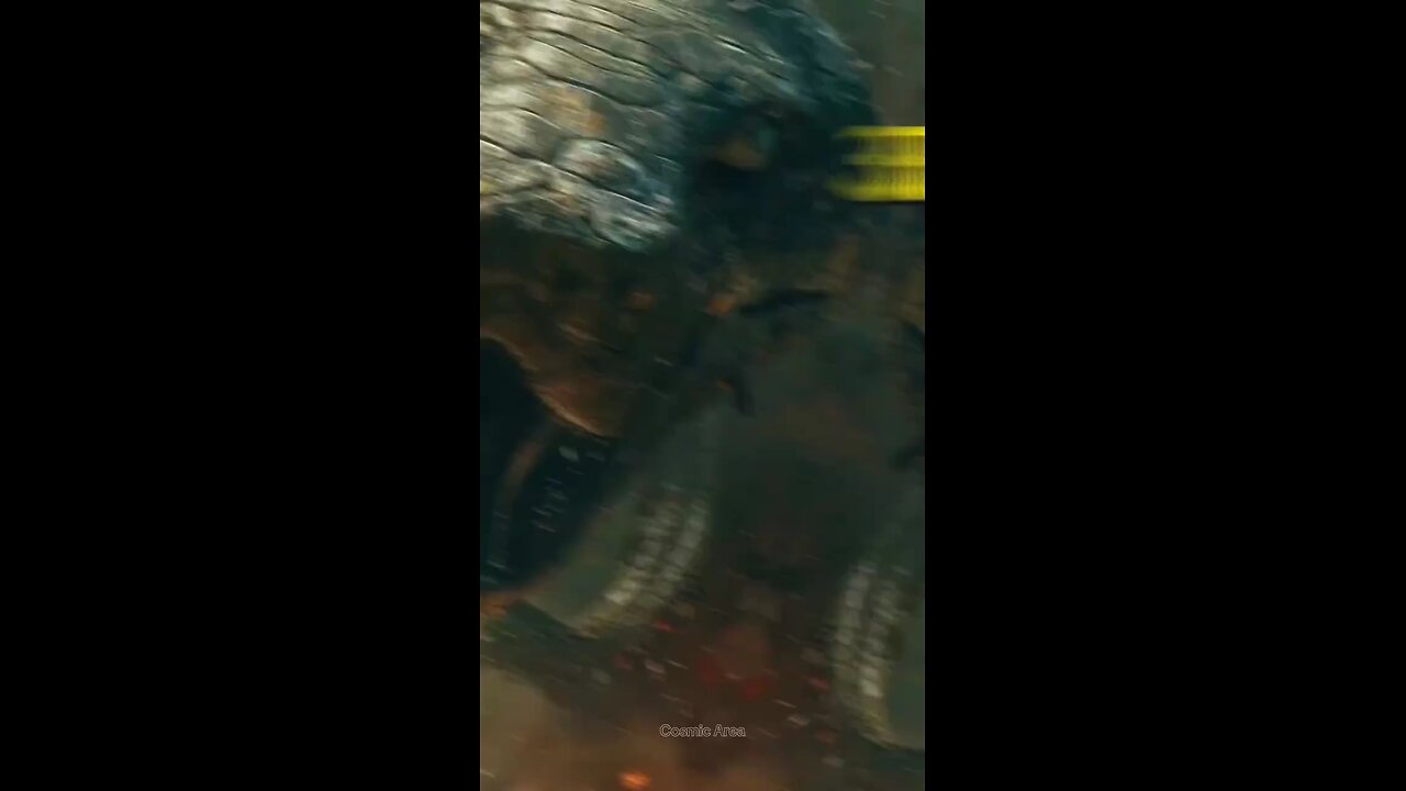 duniya ka dusra sabse bada Jungle