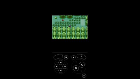 Pokémon Coastal Version part 7| Getting to rocky heights