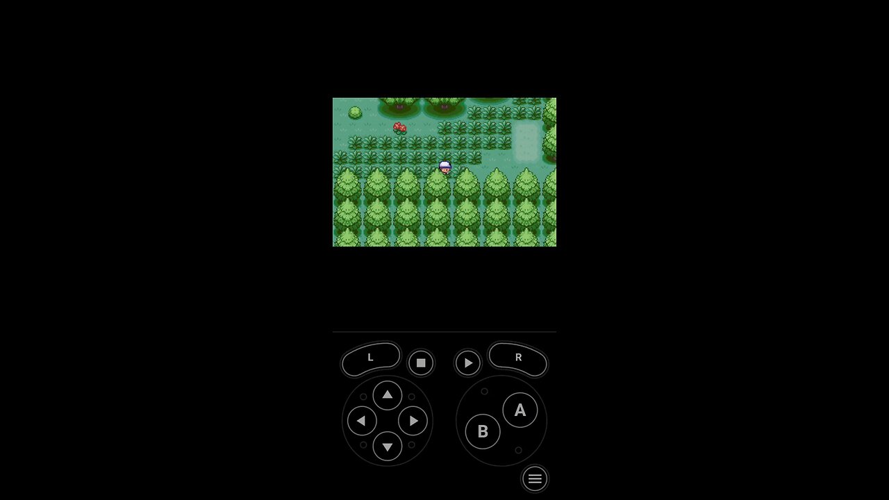Pokémon Coastal Version part 7| Getting to rocky heights