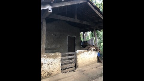 Help me build a new house