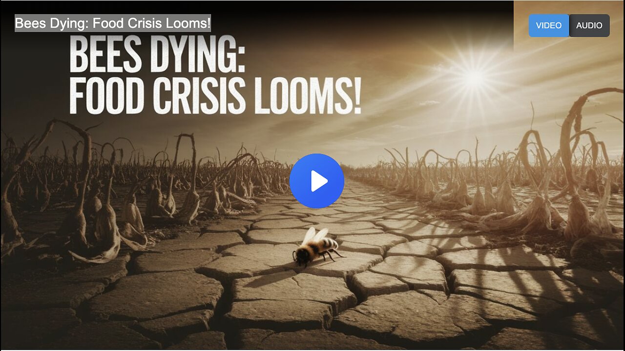 Bees Dying: Food Crisis Looms!