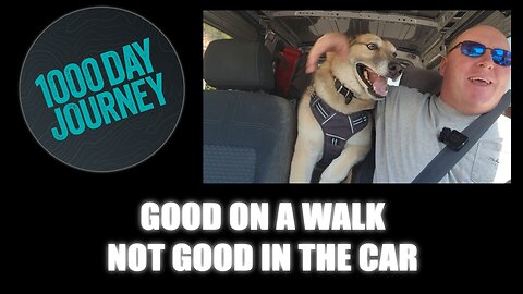 1000 Day Journey 0774 Good on a Walk, not in the Car