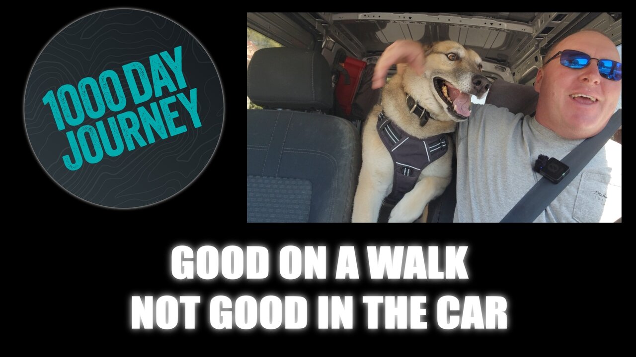 1000 Day Journey 0774 Good on a Walk, not in the Car