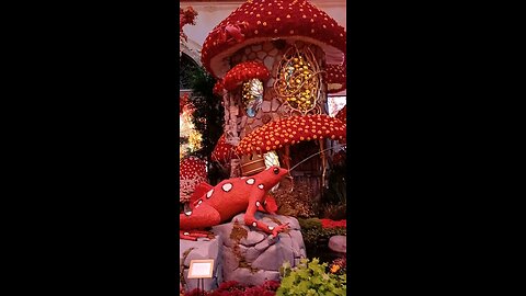 BELLAGIO CONSERVATORY FALL DISPLAY 2025