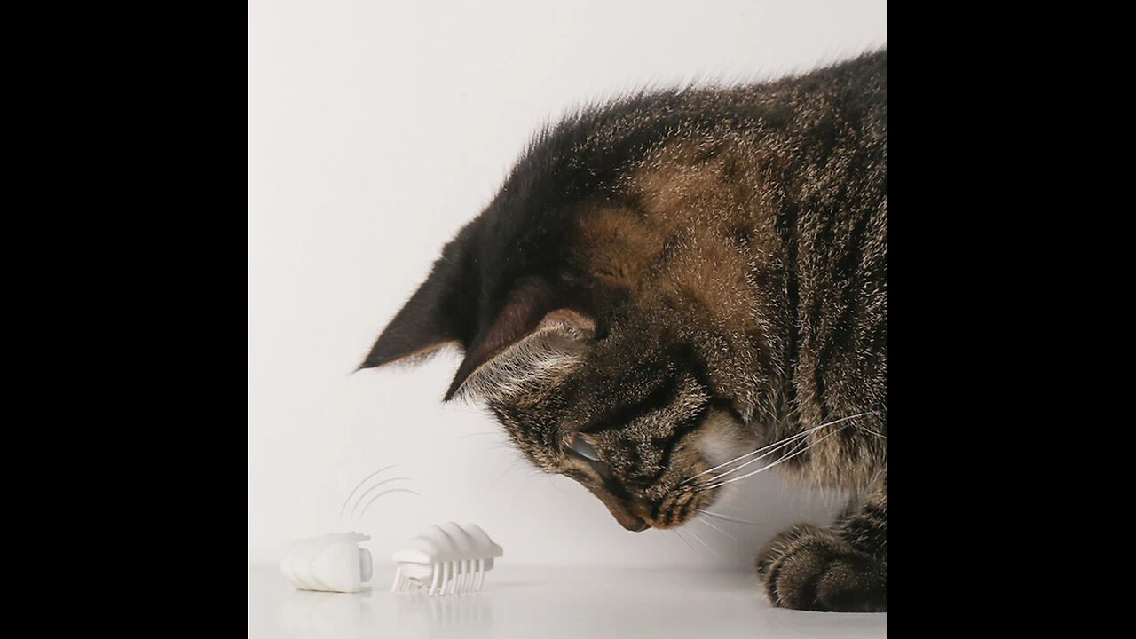 Electronic Cat Toy, with Automatic Obstacle Avoidance and Automatic Flip Function, for Lovely Pets