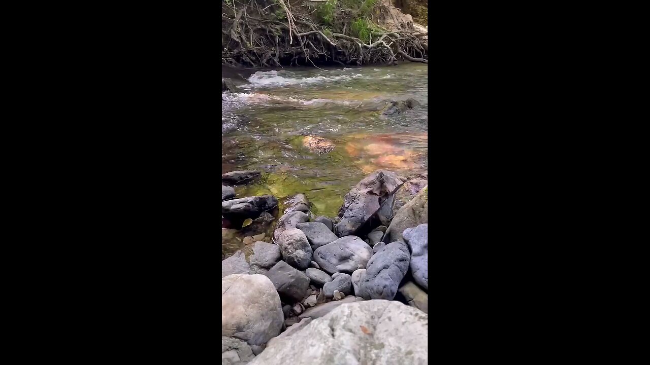 Derede Sepet ile Balık Avı 🐟 Fishing With a Fish Trap