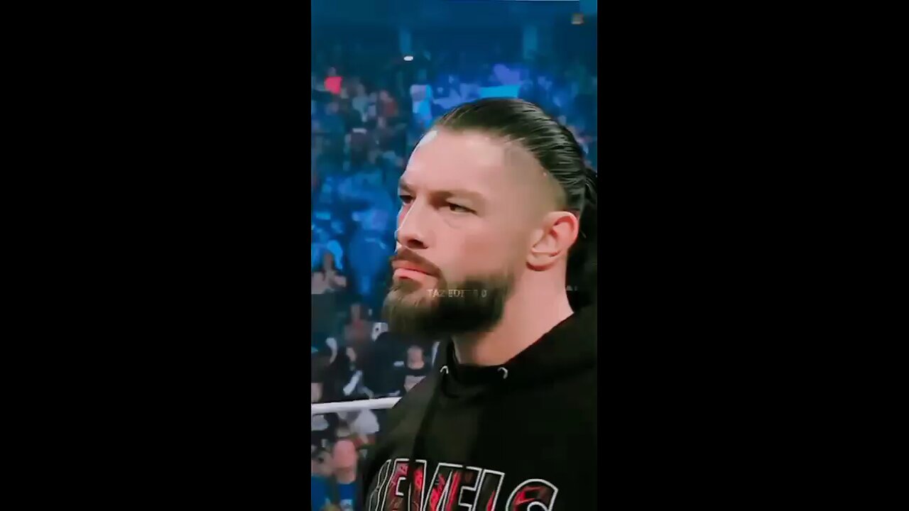 Roman Reigns fan's