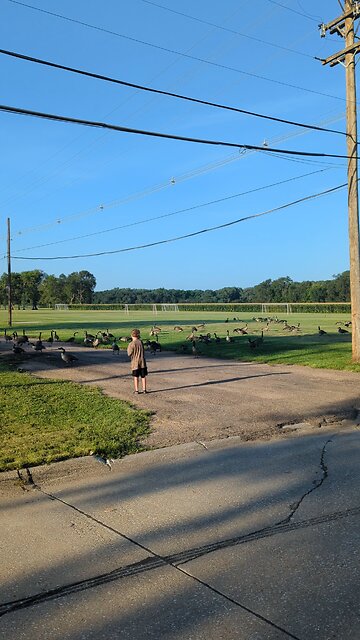 BradKuz76 Tommy and Snow Geese 2025