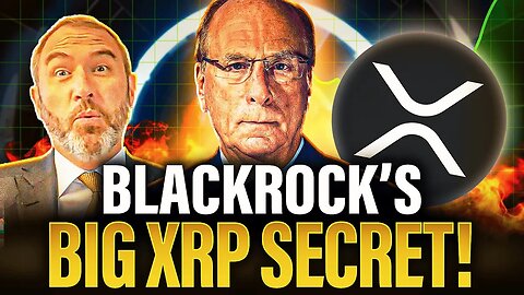 Ripple CEO & BlackRock's SECRET XRP Plan Pay Attention
