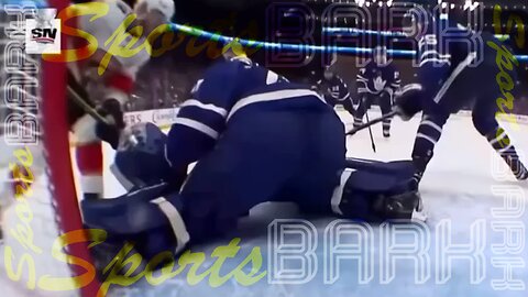 Sports Bark : Rising to the Top