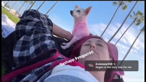 🛑 VP (P1 W/CHAT) VENICE WITH DAISY 2-1-26