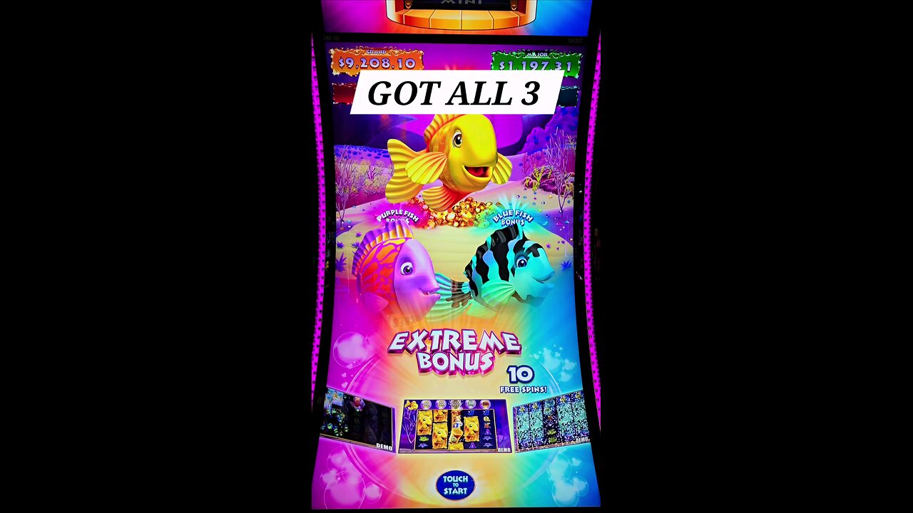 GOLD FISH FEEDING TIME DELUXE CASTLE EXTREME BONUS