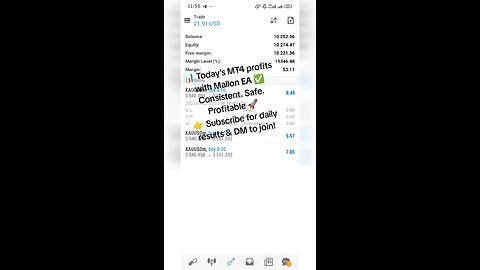 Forex trading profit