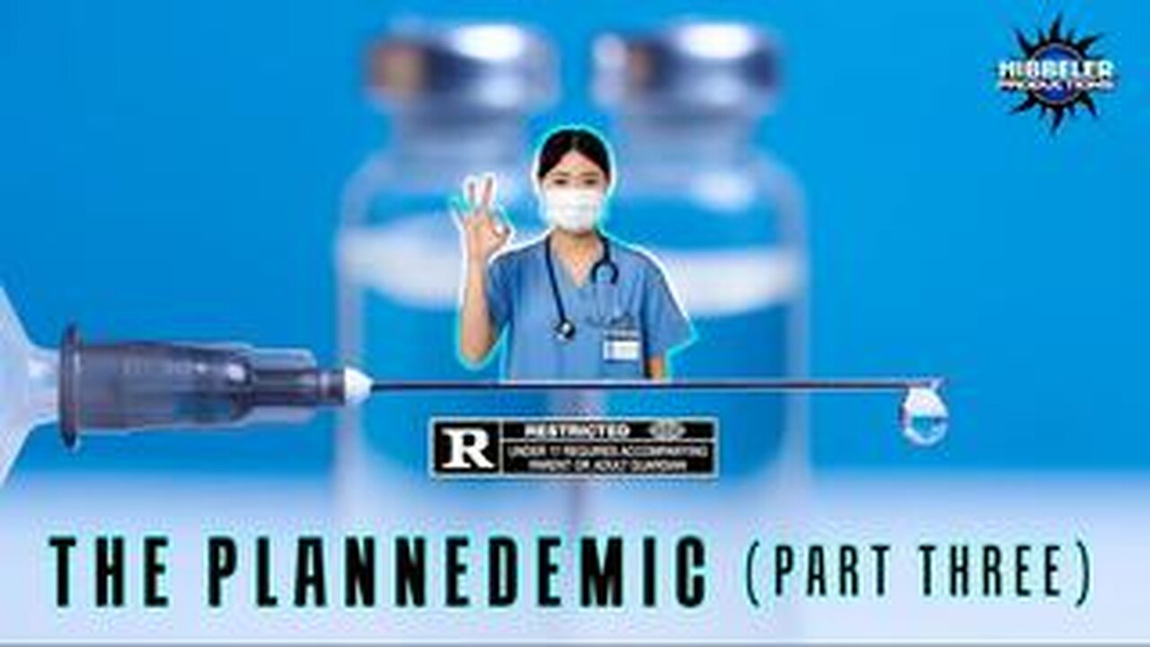 The Plannedemic part 3 (2020)