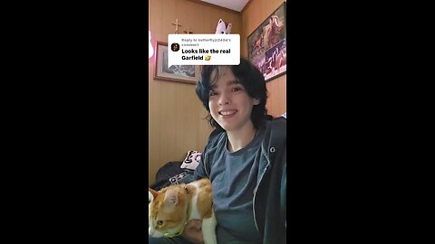 I mean.... He kinda is the real life Garfield. His name is Pineapple! 🍍