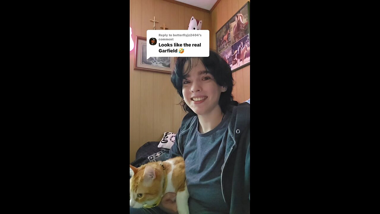 I mean.... He kinda is the real life Garfield. His name is Pineapple! 🍍