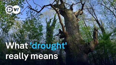 Why drought means more than just "no rain" | DW News