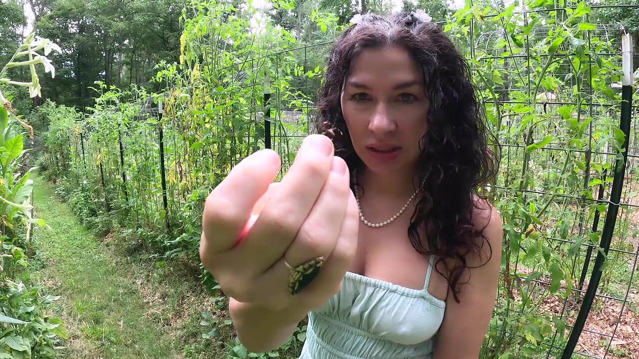 Summer Garden Tour