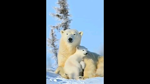 Mothers 🥰