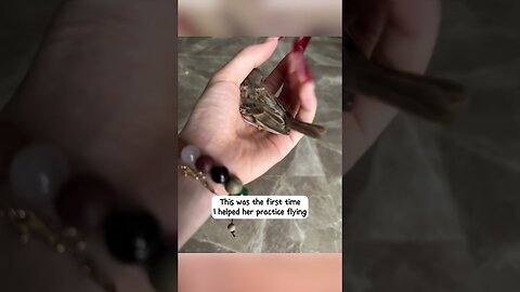 Sparrow came to the girls place to ask for help and she became his mom