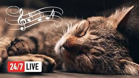 Purring Dreams: Cat Music for Deep Sleep & Relaxation