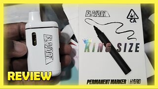 🎯 PERMANENT MARKER HIT DIFFERENT! | FLAVORZ DISPOSABLE REVIEW