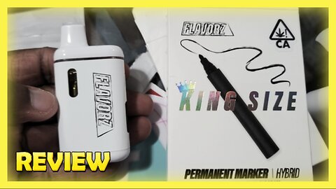 🎯 PERMANENT MARKER HIT DIFFERENT! | FLAVORZ DISPOSABLE REVIEW