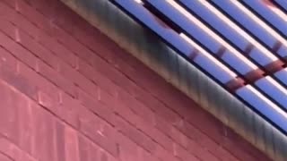 🤯🔥 You Won't Believe This Epic Karate Kick! | FunFM