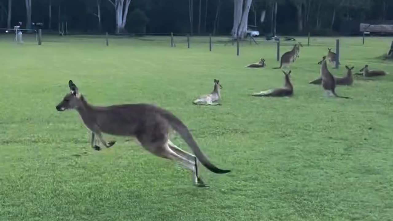 Welcome to Australia 🇦🇺