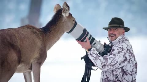 Shocking wild animals Encouters with Photographers 🤪