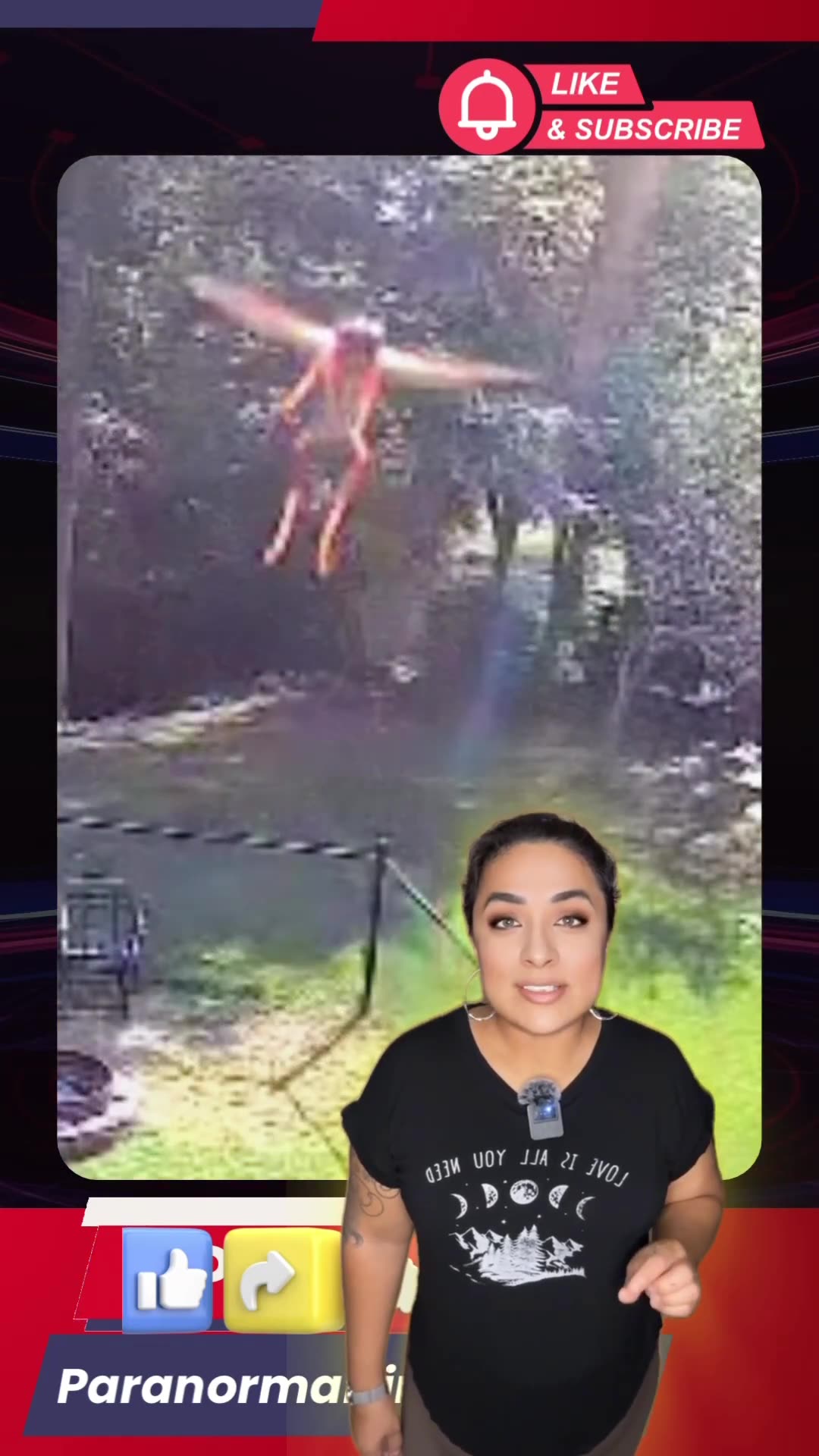 FAIRIE, PIXIE, DEMON WHAT IS IT ?