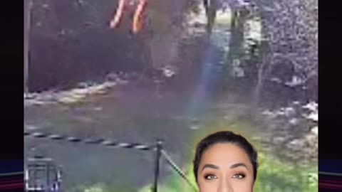 FAIRIE, PIXIE, DEMON WHAT IS IT ?