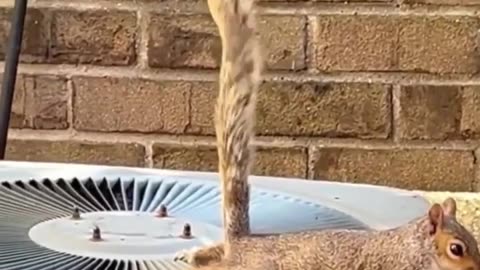 😂🌡️ Cooling Off the Heat | FunFM