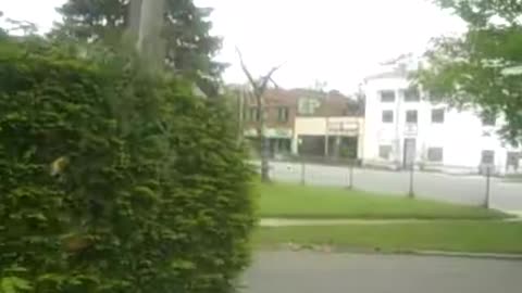 welcome 2 highland park,,ENJOY THE SHEA SHOW AN