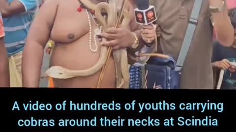 Hundreds of people with snakes around their necks..