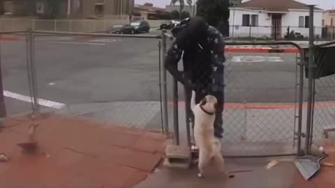Where Mah Dawgz At?!