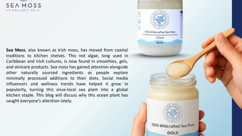 How Sea Moss Became A Trending Ingredient In Modern Diets