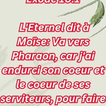 « L’Éternel endurcit Pharaon pour manifester Sa puissance » Exode 10:1,2 #shorts #youtube #ytshorts