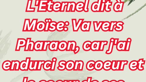 « L’Éternel endurcit Pharaon pour manifester Sa puissance » Exode 10:1,2 #shorts #youtube #ytshorts