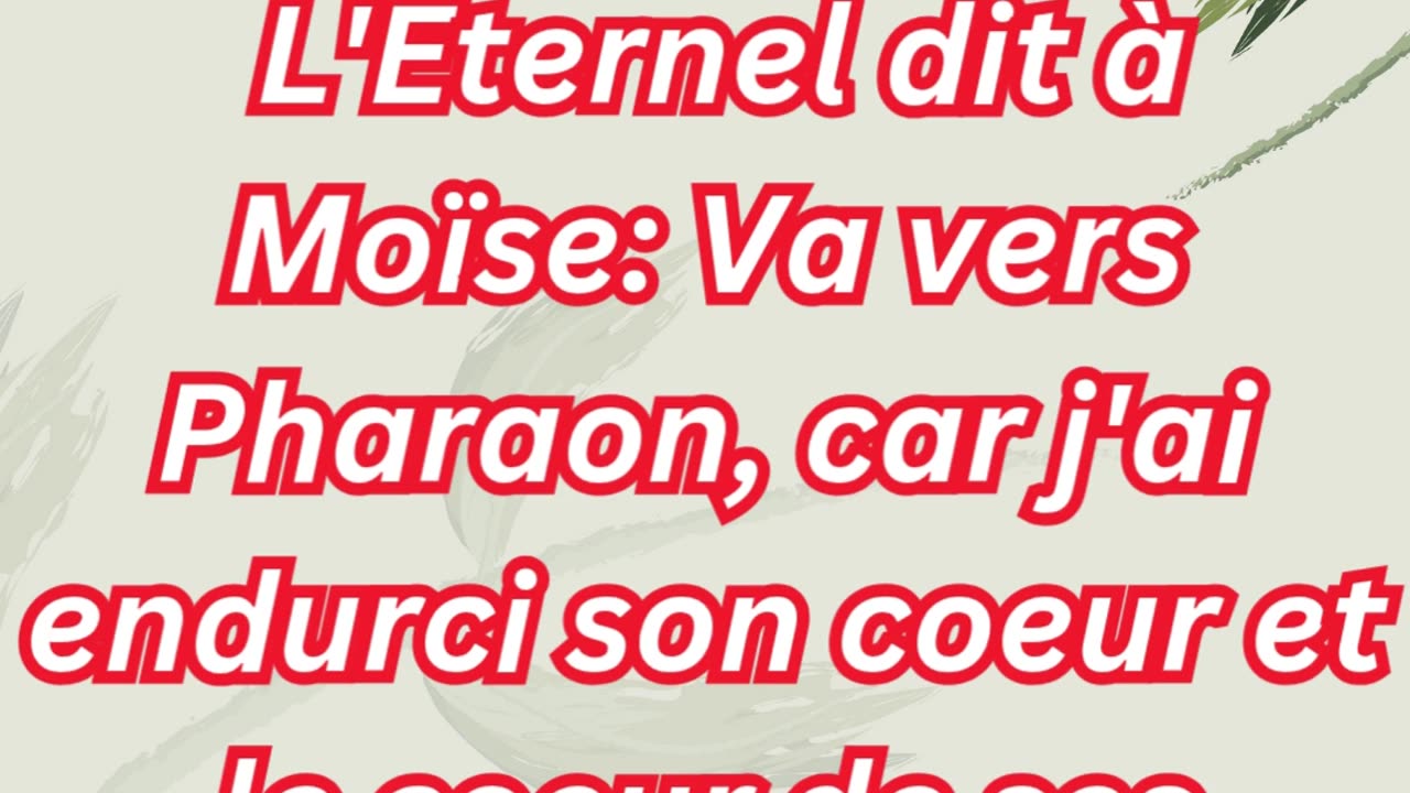 « L’Éternel endurcit Pharaon pour manifester Sa puissance » Exode 10:1,2 #shorts #youtube #ytshorts