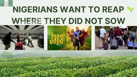 Nigerians Want To Reap Where They Did Not Sow