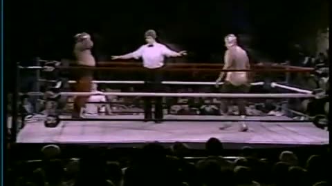 WWF Wrestling at the Chase Feb 05 1984