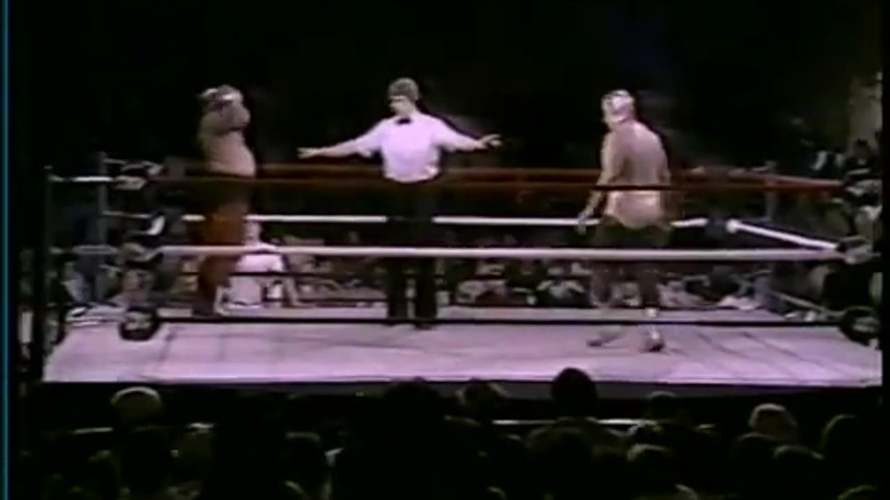 WWF Wrestling at the Chase Feb 05 1984