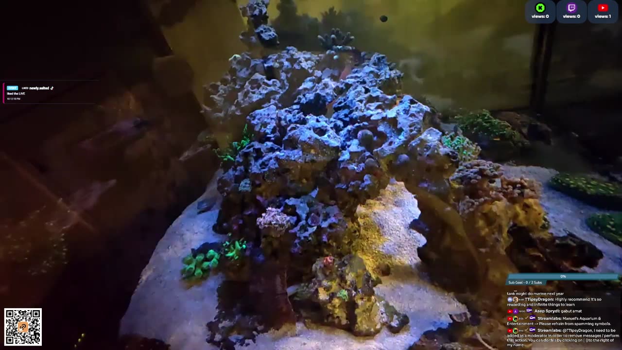 24/7 Real Live Reef Stream