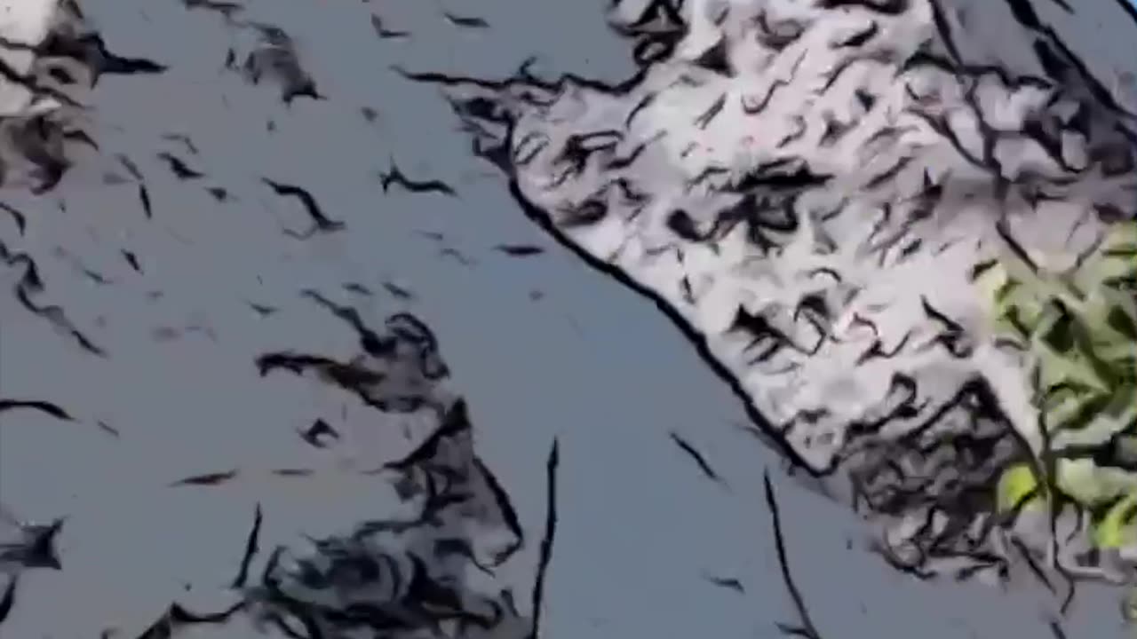 Geisteskranz (Teaser 1) - humans(R)demons