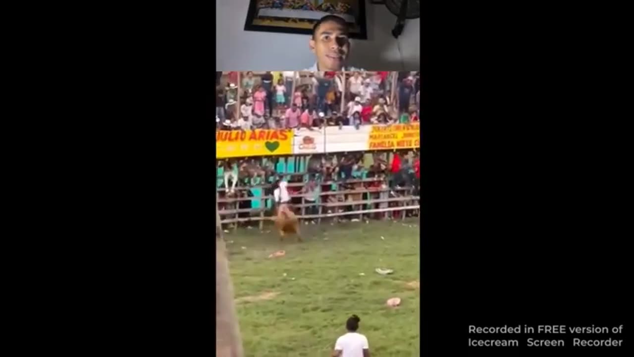 ANGRY BULL