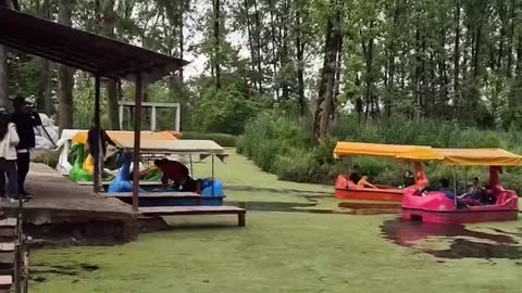 Boating in the dreamy swamp of Saravan